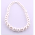 Large Tapered Freshwater Pearls